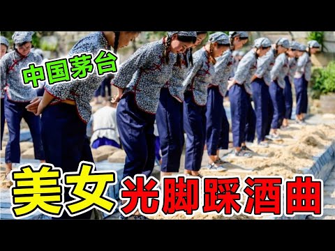 中国“国酒茅台”生产车间首次曝光，全是美少女光脚踩曲，这样的酒肯定特别香#世界之最 #科普 #涨知识 #惊人 #脑洞大开 #科学 #冷知识 #熱門 #茅台