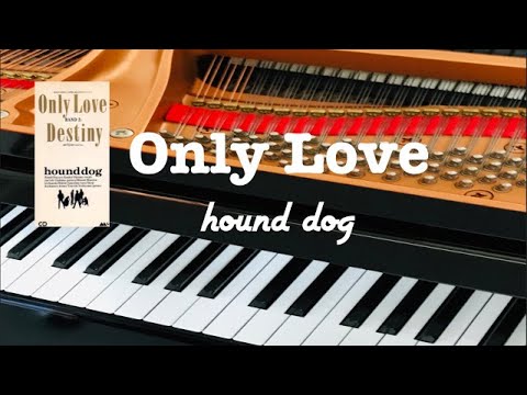 Only Love 　Hound Dog ピアノ 　歌詞　pf