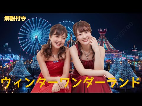 【解説付き】ウィンターワンダーランド/ ピアノ連弾【ごぼう】