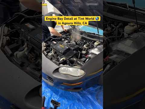 Engine Bay Cleaning at Tint World in Agoura Hills, CA #engine #carwash #detailing #fypシ #cars #yt