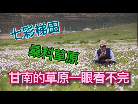 甘肅的草原一眼看不完 | 七彩梯田 | 桑科草原 | 甘加草原 | 臨夏回族自治州 | 甘南藏族自治州 | 甘肅 | 甘南 Vol.11