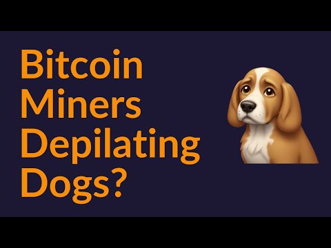 Bitcoin Miners Depilating Dogs?