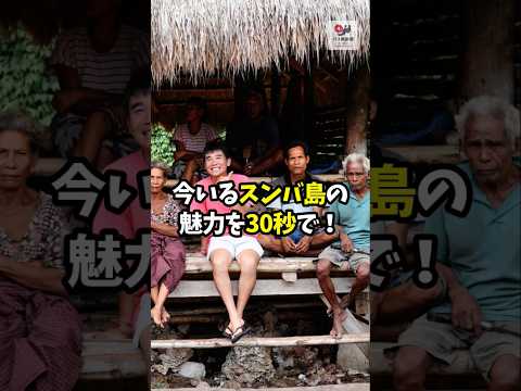 バリ島から1.5時間の秘境「スンバ島」の魅力を教えて！【バリ島30秒お役立ち情報】#shorts #バリ島 #バリ俱楽部