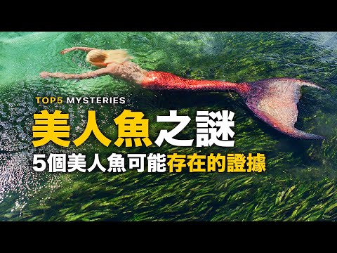 5個美人魚存在證據【神祕生物傳說】以色列人魚目擊影片，科學家找到了美人魚存在的證據！傳說中的人魚可能真實存在？科學家活捉小人魚事件 | 智慧宇宙 Wisdom 365