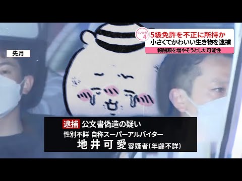 【ちいかわ速報】草むしり5級免許を不正所持か 公文書偽造の容疑で逮捕