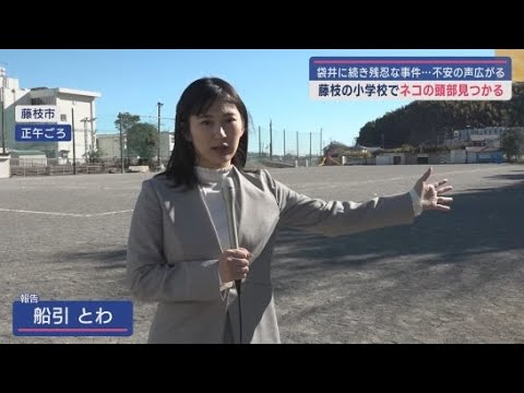 静岡県藤枝市の小学校にネコの頭　保護者に広がる不安　4日には袋井市　2023年8月には掛川市でも