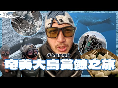 KID's Vlog#206 與大翅鯨共舞 ！日本離島奄美大島之旅！『野人七號部落』