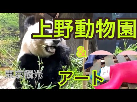 【東京観光】　リベンジ上野動物園！　最後のジャイアントパンダ母子観覧の抽選に当たったので、パンダを見に行き、プラスでアート作品を見学してきました。