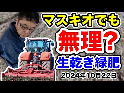 マスキオでも無理？【生乾きの緑肥処理】