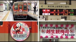 東武東上・越生線8000系「越生観梅号」14年ぶり復活運転（池袋発 越生行き）