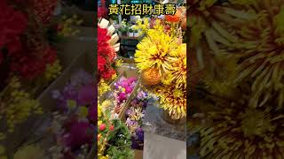 新年迎春花 康壽開運招財招良緣 台湾旧正月のお花 Lunar New Year Flower Present