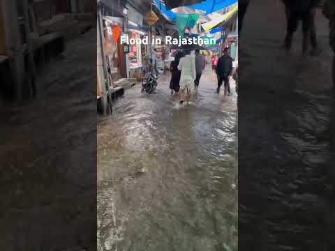 Flood In Rajasthan #Nathdwara #viral #flood #Rain #Rajasthan #Baarish