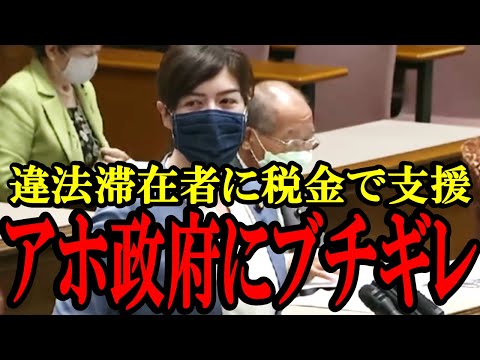 【小野田紀美】違法外国人に税金で優遇!?国民を舐めてる政府に小野田紀美議員がブチギレる！