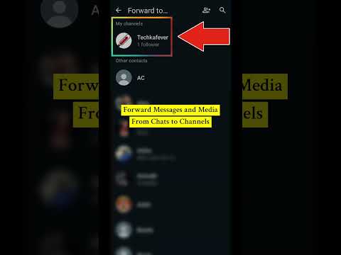 Forward WhatsApp Messages to Your Channel #howto #whatsapp #channel #new