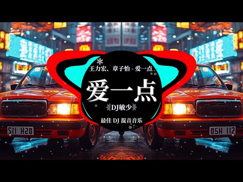 王力宏、章子怡 - 爱一点 《抖音热播DJ版》最好的音樂Chinese DJ 2024 💗 抖音神曲2024 🎼 Hot DJ Tik Tok Nonstop Remix 2024