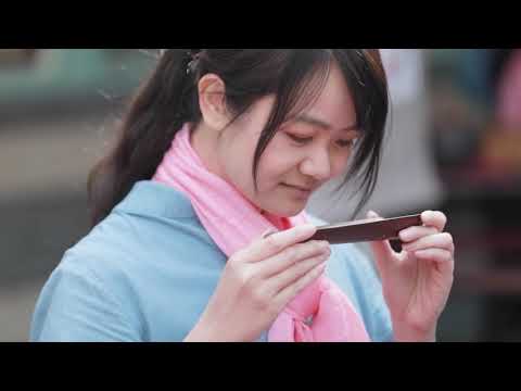 2020阿里山四季茶旅-冬季茶會--Alishan Tea Festival In Four Seasons