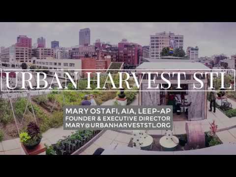 Urban Harvest STL Urban Farm - Mary Ostafi