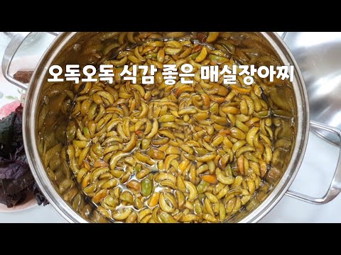 매실장아찌는 이방법이 제일 깔끔해/오독오독 식감 좋은 매실장아찌/남은 시럽물로 매실발효주 담그는 방법/