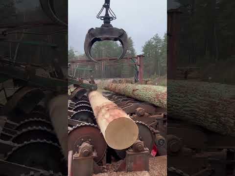 Debarking #sawmill #wood #woodmachinery #woodbusiness #woodworking #woodmill #woodprocessing #oak