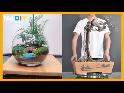 Watch Bonsai Workers perform their jobs to their best