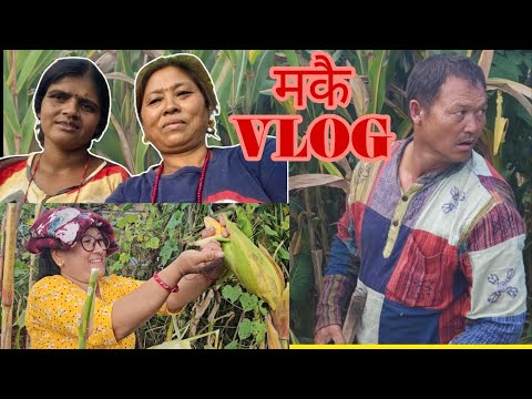 नेपालबाट आमाले बनाएको vlog || मकै VLOG