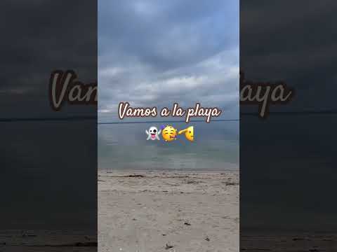 La playa#viral #humor #viral #mexico