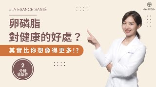 卵磷脂3大功效解析！營養師推薦卵磷脂怎麼挑？卵磷脂是什麼？