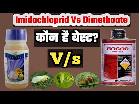 Rogor(Dimethoate)  Vs Confidor (Imidachloprid) Koun Hai Best? Kounsa Insecticide Hai Best?