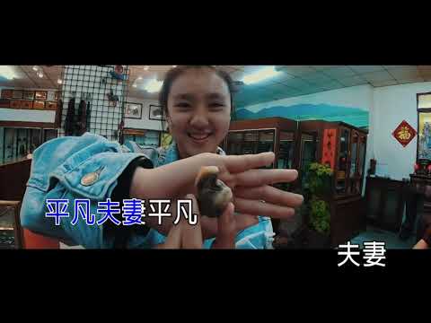 【國語KTV】王仁甫feat.季芹 - 平凡夫妻 (原聲/伴唱切換)