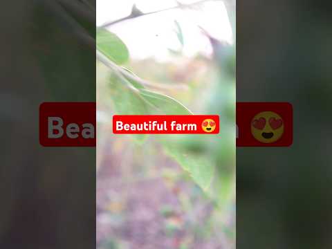 Farm life || Desi farmer. #shorts #nature #trending Subscribe and follow