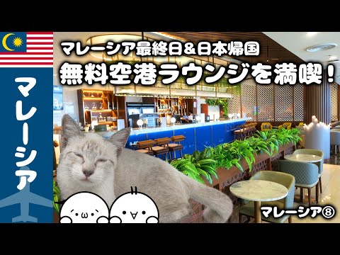 【GWマレーシア旅】アロー通り猫と空港ラウンジ無料利用で旅最終日も大満喫！/マレーシア⑧｜Vlog