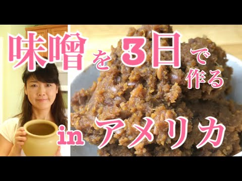 アメリカで味噌をたったの3日で作る (Japanese Language)