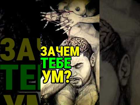 Ты отличаешься от животных? #ум #разум #мышление #мысли #психология #мысливслух