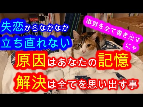 【恋愛】失恋から立ち直れない / いいことも嫌な事も書き出して見つめることで失恋から立ち直れる【メンタリストDaiGo切り抜き】