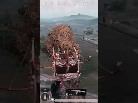 ride of killer 😱😱 T Rex dinosaur 🦖 in pubg