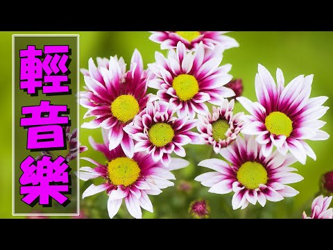 【薩克斯風 睡眠】🎷30首 薩克斯風 輕音樂 放鬆解壓 🌺 夜晚最適合聽的 轻音乐 放松🎵 累了煩了就聽聽 醉人醉心！ 無廣告音樂  Relaxing Chinese Saxaphone Music