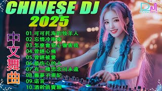 【抖音DJ版合辑】 Hot DJ Tik Tok Nonstop Remix 2025 💥 最新最火DJ抖音版2025【你莫走 ♪ 别知己 ♪ 可可托海的牧羊人 ♪ 你的样子 ♪黄昏】+ Lyrics