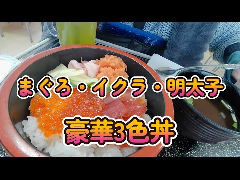 #055 #電動車椅子 #ランチ は#まぐろ #イクラ #辛子明太子 の豪華#三食丼