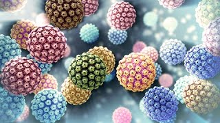 Human Papillomavirus | HPV | Nucleus Health