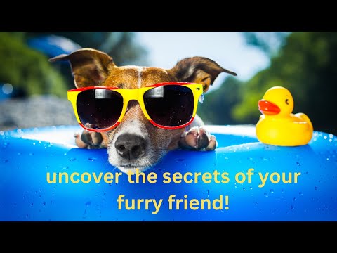 🐕‍🦺🐕Discover the Magic of My Dog’s Song—A Heartwarming Journey Awaits!