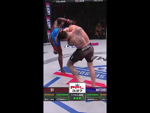 SPINNING WHEEL KICK KO 😲 #shorts #mma