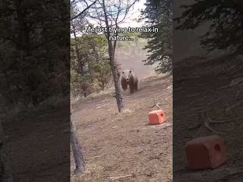 I GOT CHASED BY A BEAR: