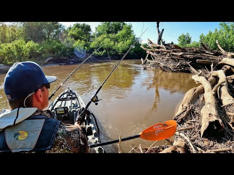 Kayak Fishing GIANT BRUSHPILES!! (Summer Fishing)