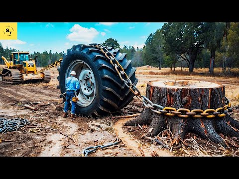 Unbelievable Chainsaw Machines Cutting Massive Trees! | Monster Excavator Stump Removal #77