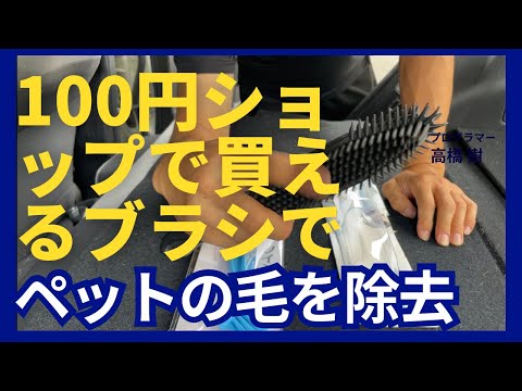 １００均で買えるブラシで車内のペットの毛を除去