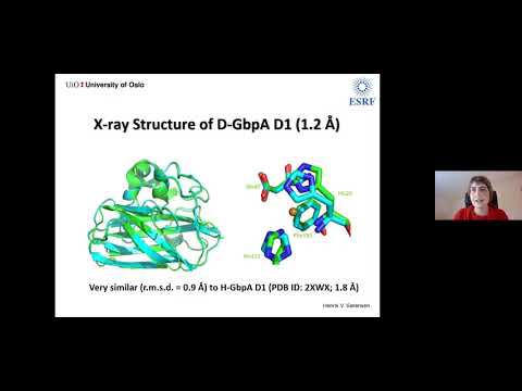 My experience with HALOS: Making the most of structural biology