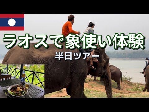 【タイ🇹🇭ラオス🇱🇦ひとり旅 vlog#15】象使い体験半日ツアーに参加してみたらめちゃんこ楽しかった