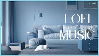 Lofi Grey Blue Cat Music｜療癒音樂、輕快音樂、放鬆音樂、Healing、Light、Relaxing Music｜Vol.175｜2024.12.30