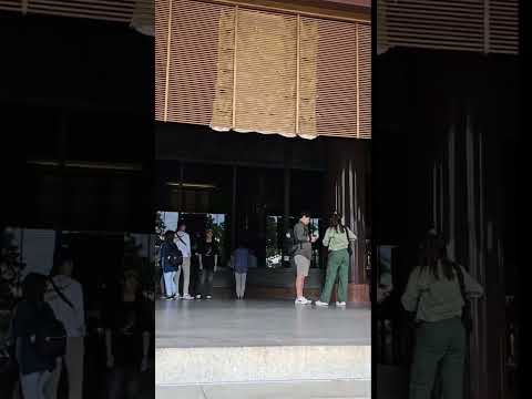 Most visited temple #2 in Japan | Naritasan Shinsho-ji Temple