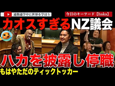 【10万人ありがとう】22歳の最年少議員がニュージーランド議会で突然のハカ！法案を破り捨て傍聴者と大合唱をし批判殺到！「これじゃ議員じゃなくてただのティックトッカー」「議会をなんだと思ってるんだ！」